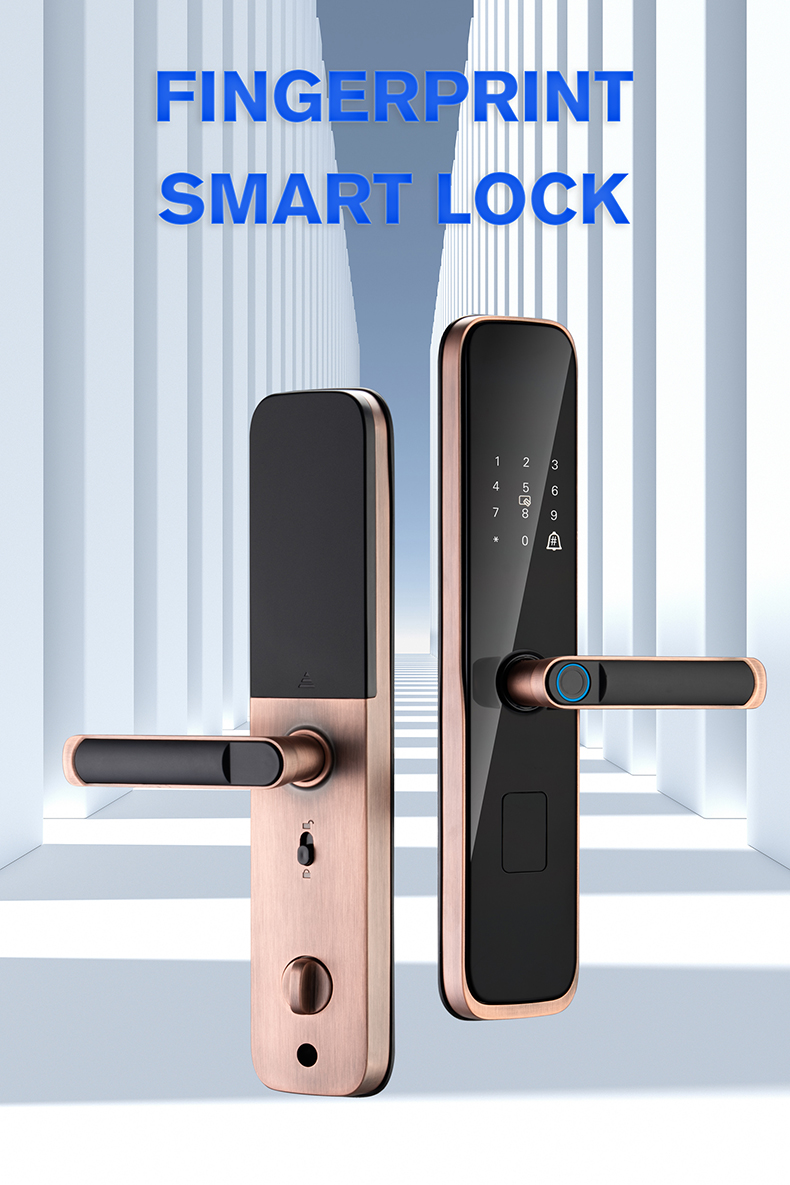 Fingerprint Smart Locks (1)